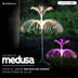 Luz Solar Efecto Medusa